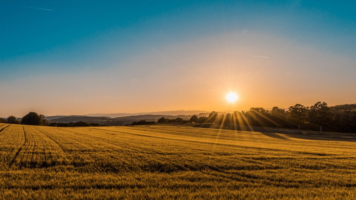 Potash mining: Lush green field with the sun setting