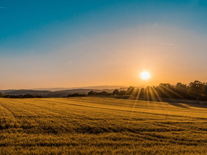 Investing in potash: The potash mining process explained 