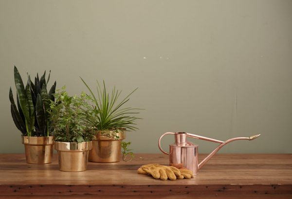 Copper Alloys and the uses of copper: Copper coloured plant pots and watering can placed on a table