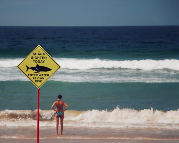 Investing in AIM shares: Woman standing on a beach looking out to sea where sharks swim