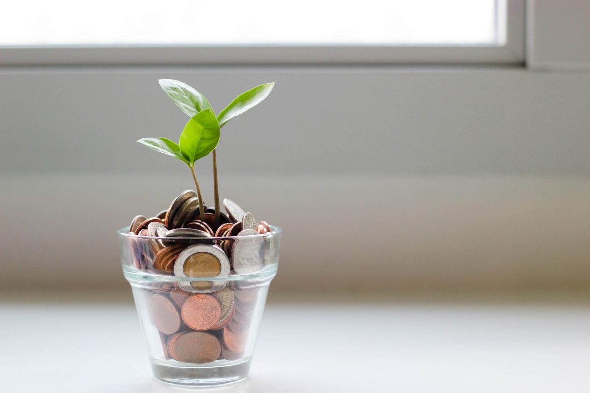 Hedging strategies: Glass full of coins used as a vase for a plant seedling