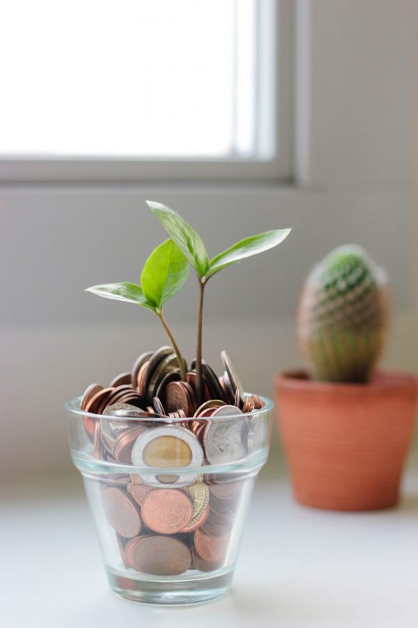 Raising capital equity finance: A glass filled with coins and a plant seedling sticking out